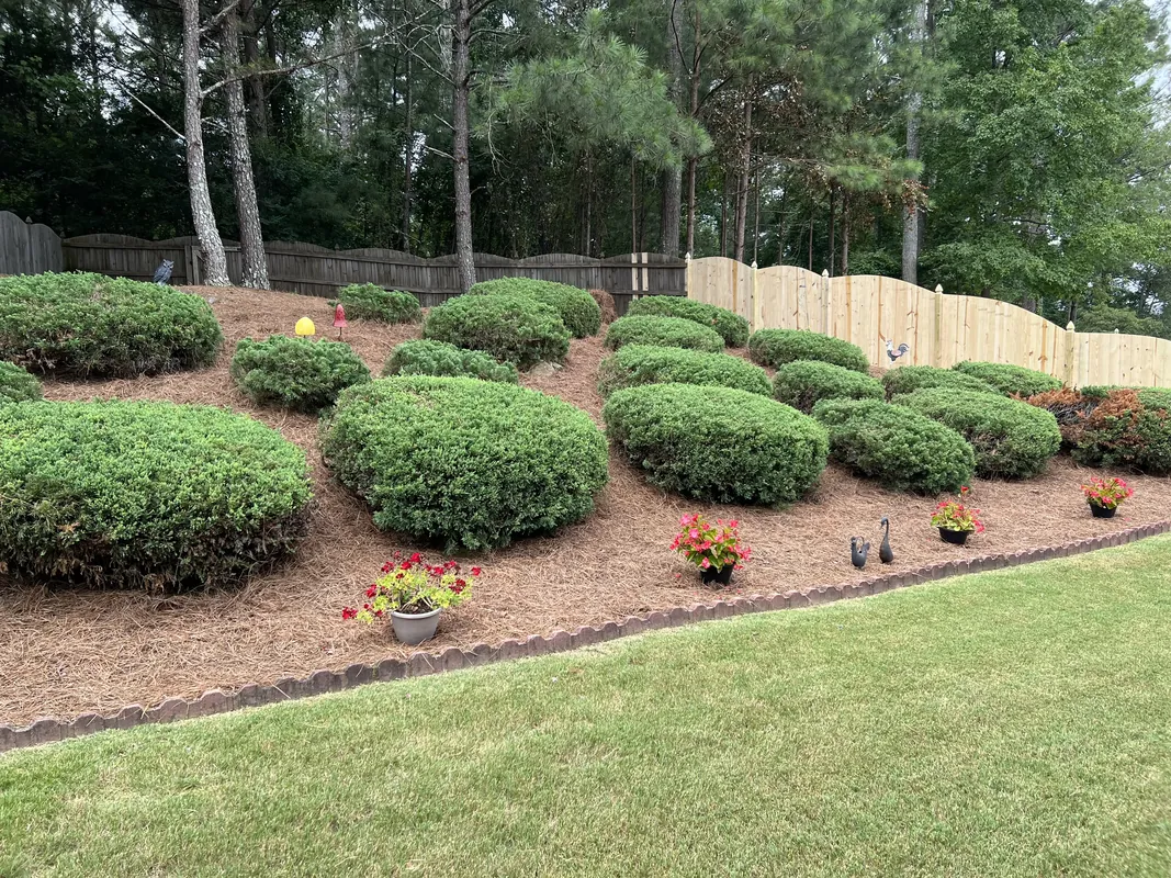 Professional landscaping services with fresh mulch and pine straw installation for enhanced curb appeal in Peachtree City, Fayetteville, Newnan, and Tyrone, Georgia